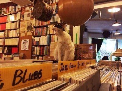 冬日的回響 在寒潮中追憶昆明的那一場銀裝素裹